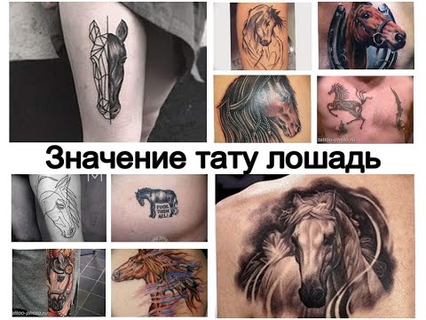 Значение тату лошадь - смысл рисунка и фото примеры для сайта tattoo-photo.ru