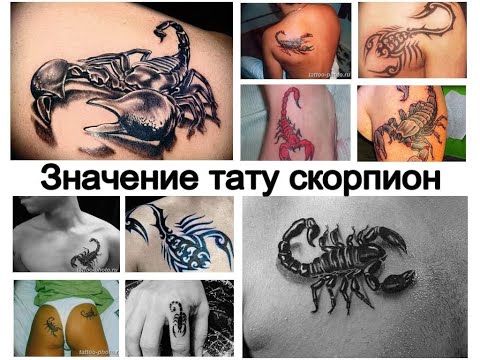 Значение тату скорпион - факты о рисунке и фото примеры для сайта tattoo-photo.ru