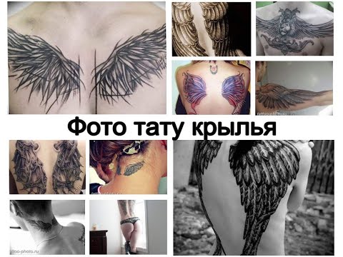 Фото тату крылья - готовые рисунки и особенности для сайта tattoo-photo.ru