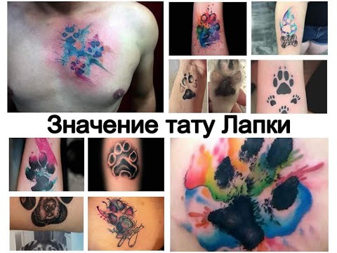 Значение тату Лапки - особенности рисунка и фото примеры для tattoo-photo.ru