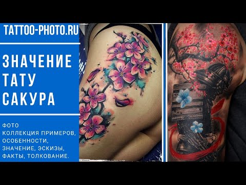 Значение тату Сакура - информация про особенности и фото примеры для сайта tattoo-photo.ru