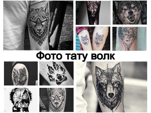 Фото тату волк - коллекция рисунков и факты для сайта tattoo-photo.ru