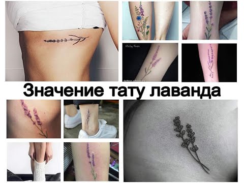 Значение тату лаванда - смысл рисунка и фото примеры для сайта tattoo-photo.ru