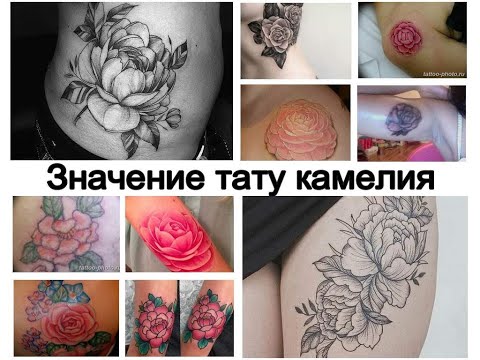 Значение тату камелия - смысл рисунка и фото примеры для сайта tattoo-photo.ru