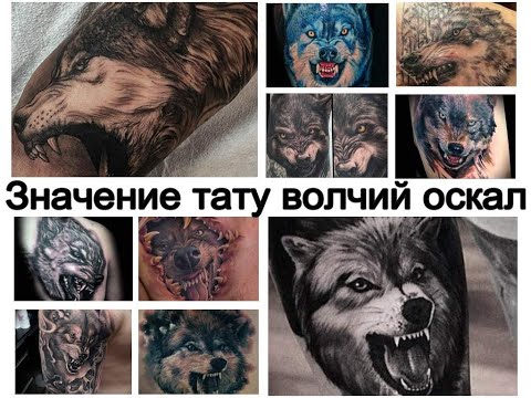 Значение тату волчий оскал информация и фото для сайта tattoo-photo.ru