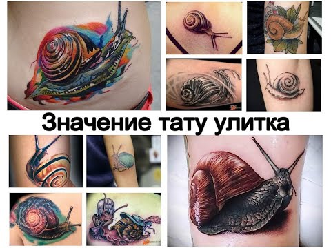 Значение тату улитка - особенности и фото для сайта tattoo-photo.ru