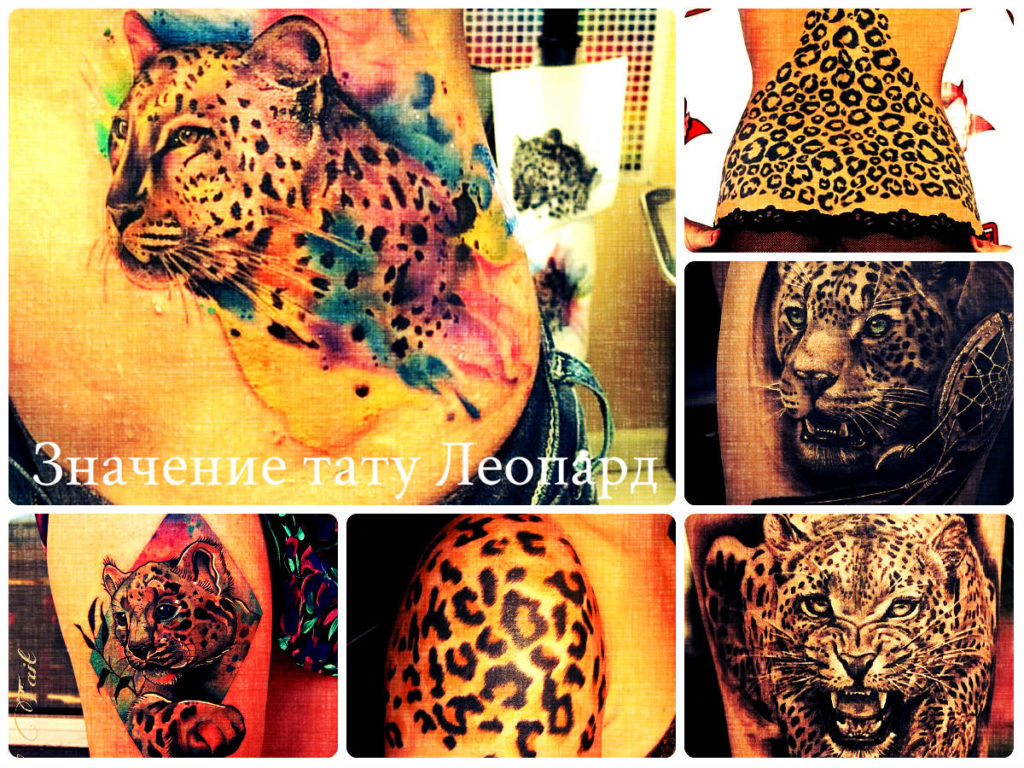 Значение тату Леопард - коллекция фотографий готовых рисунков татуировки