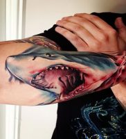 фото тату Акула от 15.11.2017 №001 — Shark Tattoo — tattoo-photo.ru
