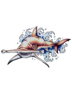 фото тату Акула от 15.11.2017 №004 - Shark Tattoo - tattoo-photo.ru