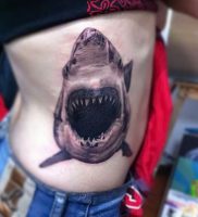 фото тату Акула от 15.11.2017 №006 — Shark Tattoo — tattoo-photo.ru