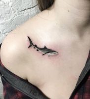 фото тату Акула от 15.11.2017 №014 — Shark Tattoo — tattoo-photo.ru