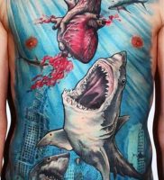 фото тату Акула от 15.11.2017 №017 — Shark Tattoo — tattoo-photo.ru 235234