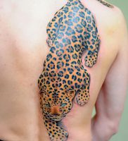 фото тату Леопард от 18.11.2017 №003 — tattoo Leopard — tattoo-photo.ru
