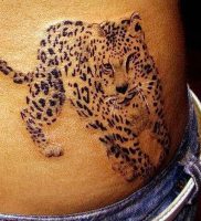 фото тату Леопард от 18.11.2017 №007 — tattoo Leopard — tattoo-photo.ru