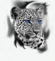 фото тату Леопард от 18.11.2017 №012 — tattoo Leopard — tattoo-photo.ru