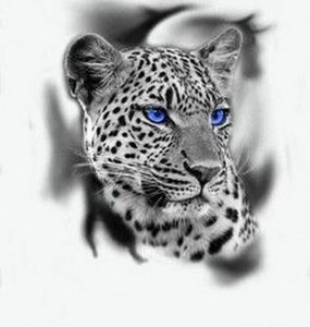 фото тату Леопард от 18.11.2017 №012 - tattoo Leopard - tattoo-photo.ru