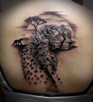 фото тату Леопард от 18.11.2017 №013 — tattoo Leopard — tattoo-photo.ru