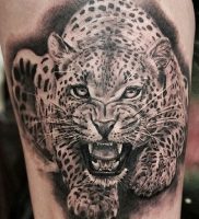 фото тату Леопард от 18.11.2017 №018 — tattoo Leopard — tattoo-photo.ru