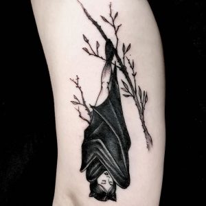 фото тату Летучая мышь от 19.11.2017 №051 - tattoo Bat - tattoo-photo.ru