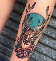 фото тату Олень от 15.11.2017 №009 — tattoo Deer — tattoo-photo.ru
