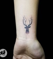 фото тату Олень от 15.11.2017 №012 — tattoo Deer — tattoo-photo.ru