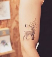 фото тату Олень от 15.11.2017 №016 — tattoo Deer — tattoo-photo.ru