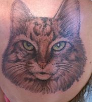фото тату кот от 19.11.2017 №005 — cat tattoo — tattoo-photo.ru