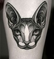 фото тату кошка от 19.11.2017 №008 — cat tattoo — tattoo-photo.ru