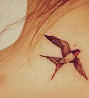 фото тату ласточка от 18.11.2017 №002 — tattoo swallow — tattoo-photo.ru