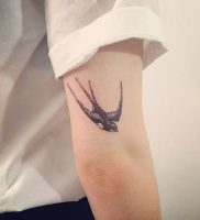 фото тату ласточка от 18.11.2017 №008 — tattoo swallow — tattoo-photo.ru
