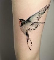 фото тату ласточка от 18.11.2017 №018 — tattoo swallow — tattoo-photo.ru
