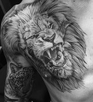 фото тату лев от 18.11.2017 №002 — tattoo lion — tattoo-photo.ru