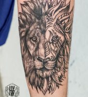 фото тату лев от 18.11.2017 №014 — tattoo lion — tattoo-photo.ru