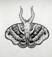 фото тату мотылек от 17.11.2017 №111 — moth tattoos — tattoo-photo.ru