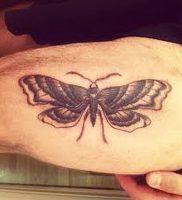 фото тату мотылек от 17.11.2017 №116 — moth tattoos — tattoo-photo.ru