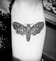 фото тату мотылек от 17.11.2017 №118 — moth tattoos — tattoo-photo.ru