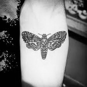 фото тату мотылек от 17.11.2017 №118 - moth tattoos - tattoo-photo.ru