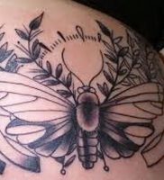 фото тату мотылек от 17.11.2017 №119 — moth tattoos — tattoo-photo.ru