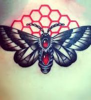 фото тату мотылек от 17.11.2017 №120 — moth tattoos — tattoo-photo.ru