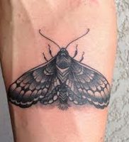 фото тату мотылек от 17.11.2017 №122 — moth tattoos — tattoo-photo.ru