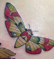 фото тату мотылек от 17.11.2017 №124 — moth tattoos — tattoo-photo.ru