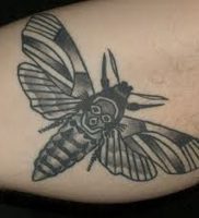 фото тату мотылек от 17.11.2017 №127 — moth tattoos — tattoo-photo.ru