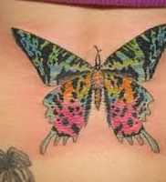 фото тату мотылек от 17.11.2017 №129 — moth tattoos — tattoo-photo.ru