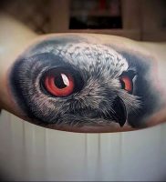 фото тату с животными от 14.11.2017 №002 — animal tattoos — tattoo-photo.ru