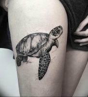 фото тату с животными от 14.11.2017 №016 — animal tattoos — tattoo-photo.ru