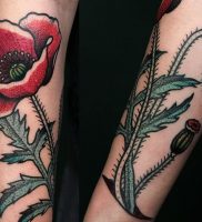 фото тату цветок Мак от 17.11.2017 №002 — tattoo flower mack — tattoo-photo.ru 1340123