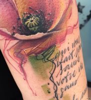 фото тату цветок Мак от 17.11.2017 №017 — tattoo flower mack — tattoo-photo.ru