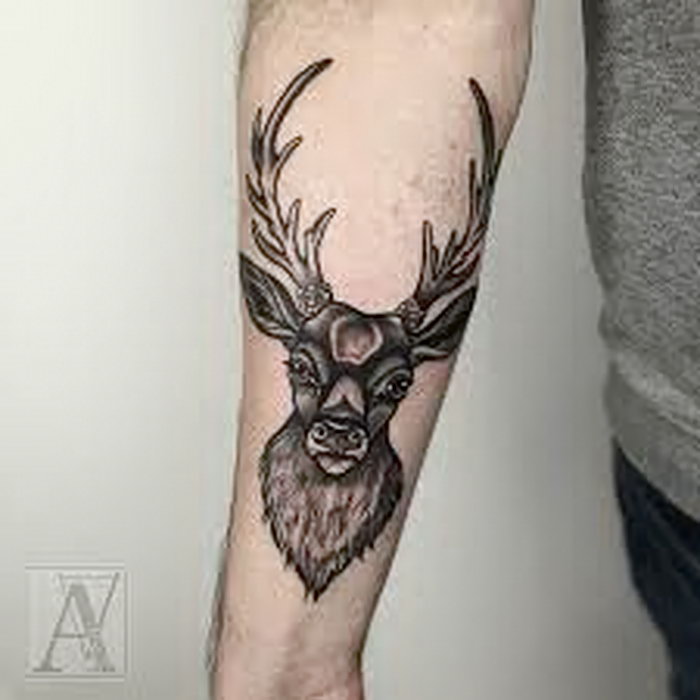 фото тату Олень от 15.11.2017 №069 tattoo Deer tattoophoto.ru