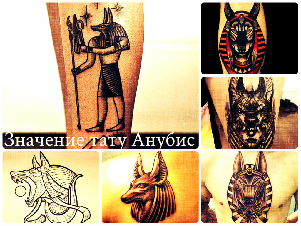 Значение тату Анубис - примеры фотографий с готовыми татуировками