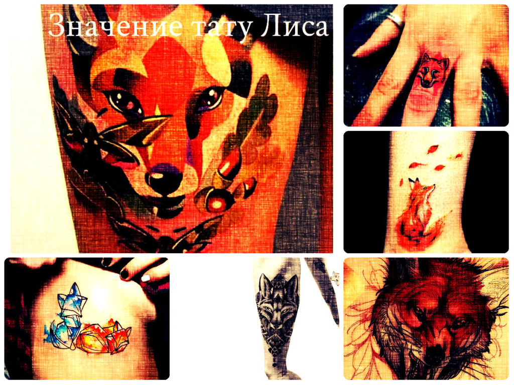 Значение тату Лиса - фото примеры рисунков татуировки с лисой